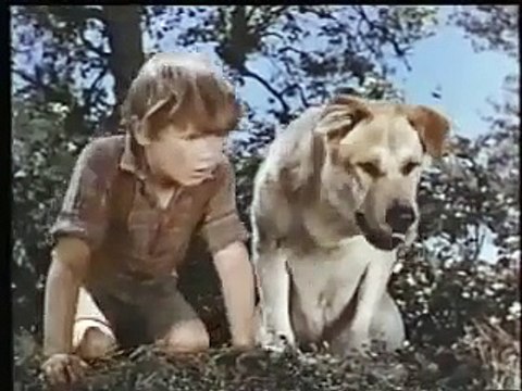 Closing To Mickey Mouse & Donald Duck Cartoon Collections Volume 2 VHS(1981)