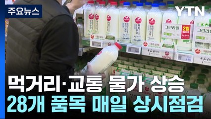 "식비도, 교통비도 올랐다"...28개 품목 가격 매일 점검 / YTN