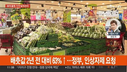 정부, 28개 품목 가격 밀착 관리…업체들 꼼수 인상 우려