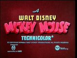 Mickey Mouse, Pluto - Mickey's Parrot