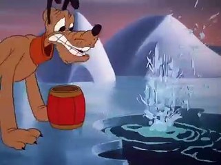 Pluto - Rescue Dog