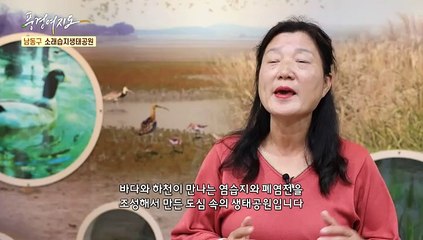 [풍경여지도] 도심 속 가을 낭만 즐기러~ - 인천 남동구 2부