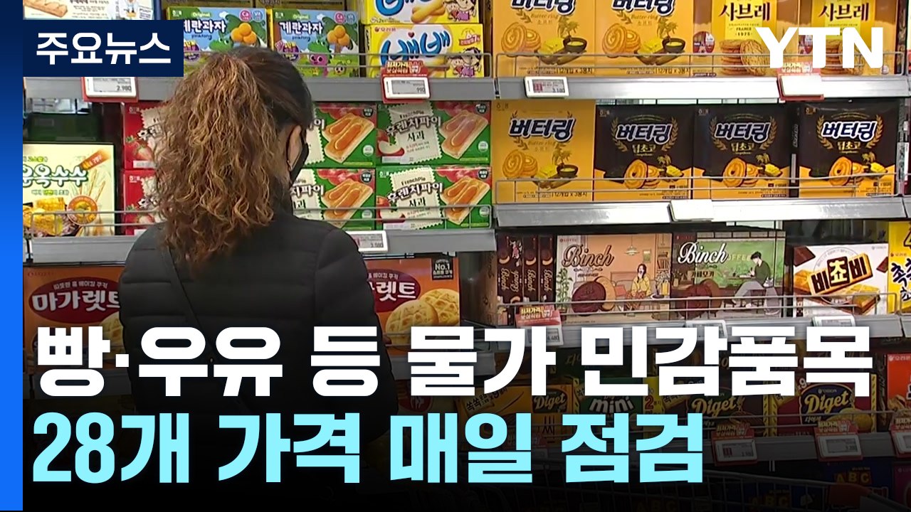 "식비도, 교통비도 올랐다"...28개 품목 가격 매일 점검 / YTN
