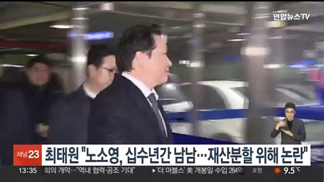 최태원 "노소영, 십수년간 남남…재산분할 위해 논란"