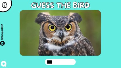 Guess The Birds Quiz | Bird Quiz