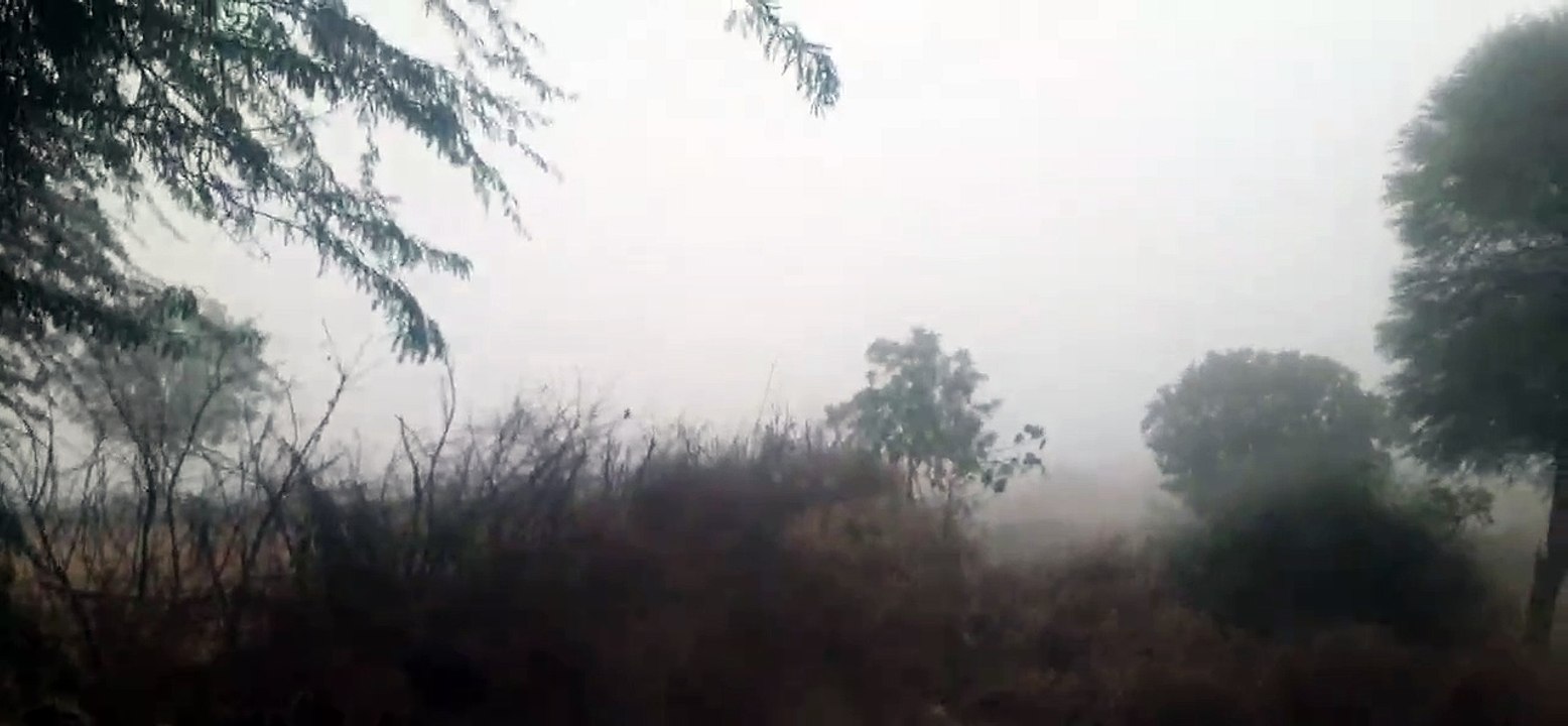 शेखावाटी में अचानक बढ़ी ठंड, एक अंक में पहुंचा...
