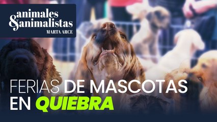 Ferias de mascotas abocadas a la quiebra por la ley animalista