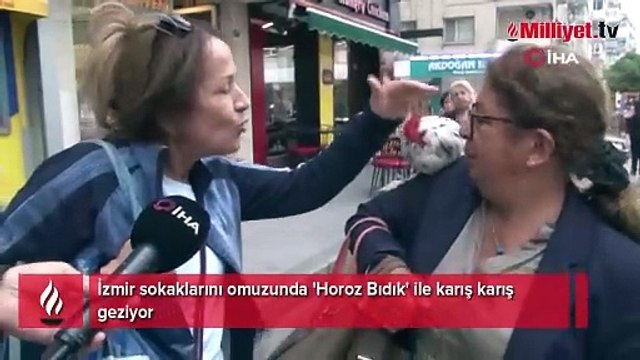 İzmir sokaklarını omuzunda 'Horoz Bıdık' ile karış karış geziyor