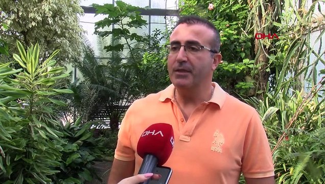 Muğla'da Yeni Bir Bitki Türü Keşfedildi