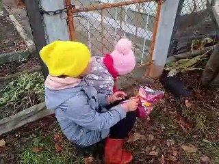 Друзья юмор 3 серия