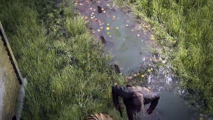 I really should have used them from earlier on