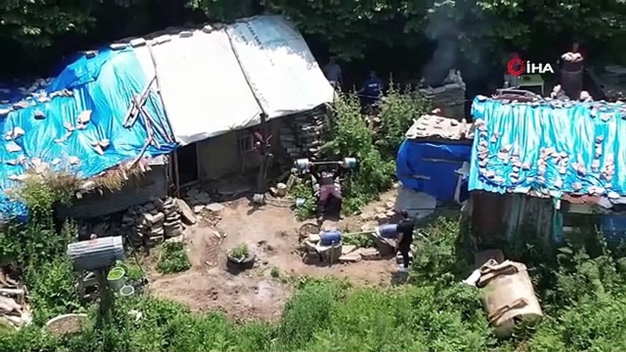 Dağda Tek Başına Yaşayan İlhan Budak: Şehirde Sultan Olacağıma Ormanda Çöpçü Olurum Daha İyi
