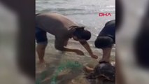 Ağa takılan deniz kapluımbağası kurtarıldı