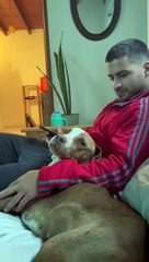 New Owners Discover Dog's Name