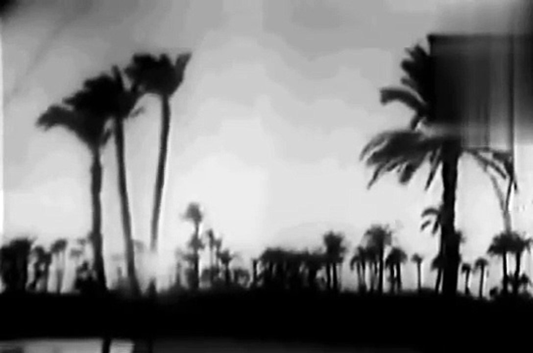 موسيقار الازمان فريد الاطرش عيني بتضحك وقلبي بيبكي بواسطه سوزان مصطفي