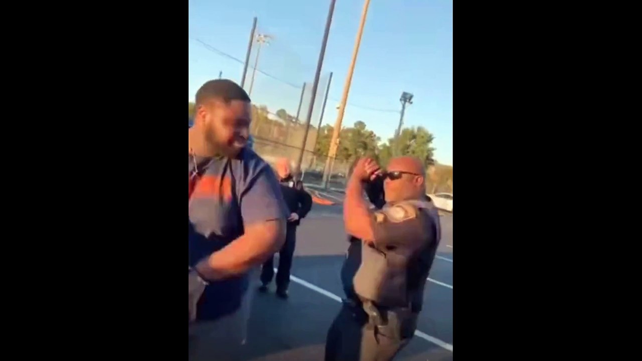 Best Funny Videos