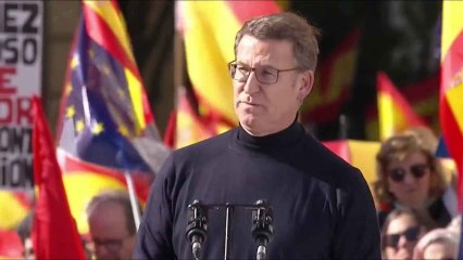 Feijóo habla en la manifestación de Madrid
