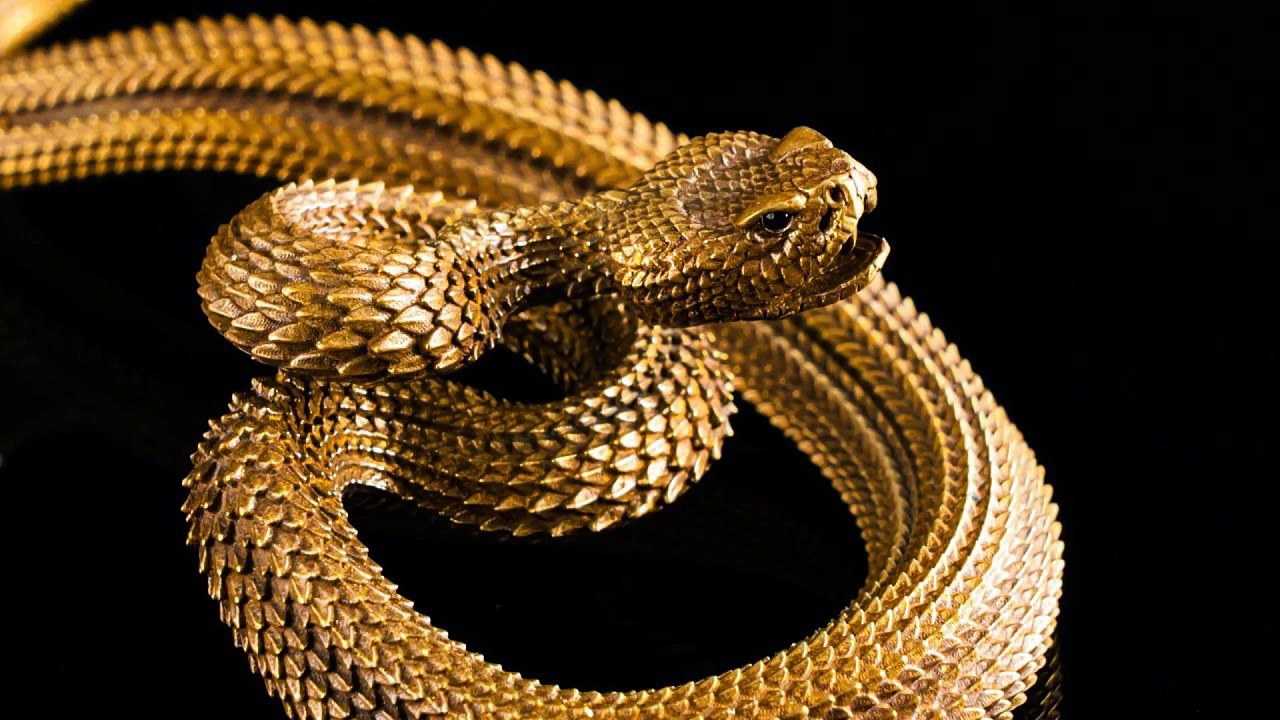 INVRAISEMBLANCES - The ballad of songbirds and snakes