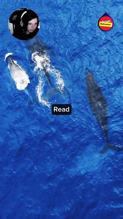 your daily massage  #motivation #inspiration #motivational #inspirational #success #mindset