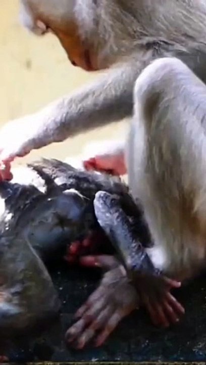 Baby gets wet and mother gets scared