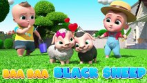 Baa Baa Black Sheep | CoComelon Nursery Rhymes & Kids Songs