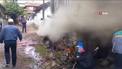 Balıkesir'de ev yangınında inek telef oldu