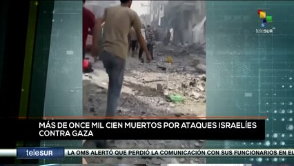 teleSUR Noticias 11:30 12-11: Superan los 11 100 los muertos en Gaza