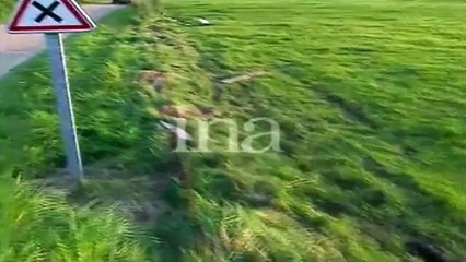 Daniel Lesage's Fatal Crash @ Rallye du Muguet 1999 (Aftermath)