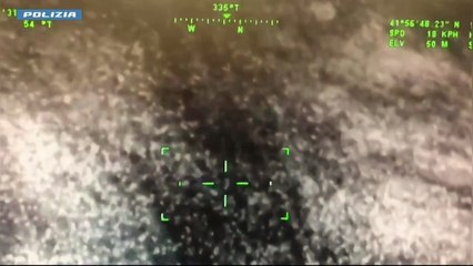 Alerta en Italia por un león que escapó varias horas de un circo