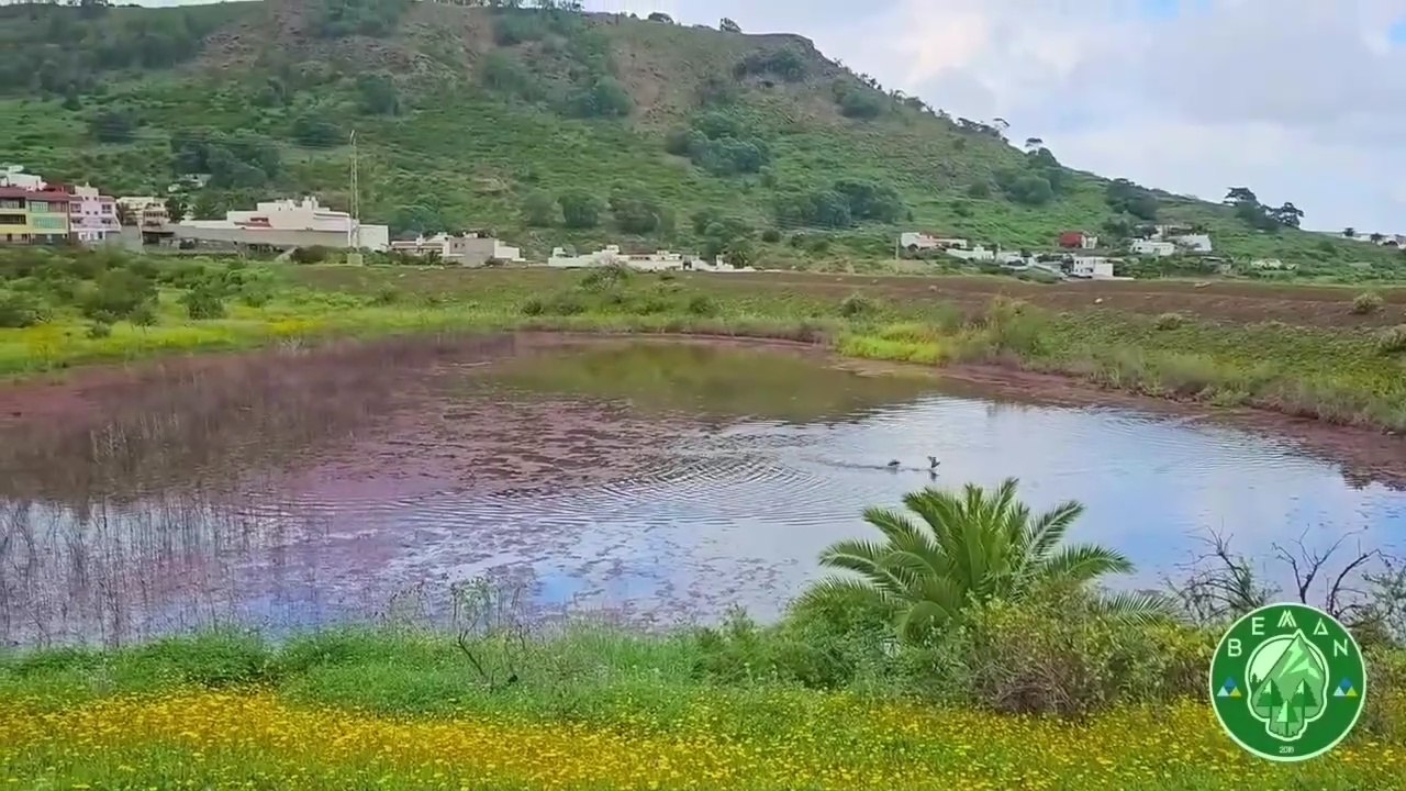 Ruta: Circular Riquianez.