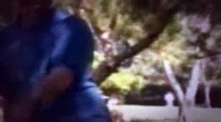 The Dog Whisperer Season 2 Episode 7 Duke And Lulu, And Sparky