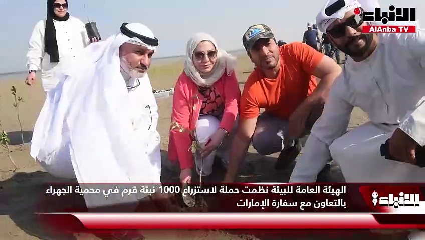 الهيئة العامة للبيئة نظمت حملة لاستزراع 1000 نبتة قرم في محمية الجهراء بالتعاون مع سفارة الإمارات