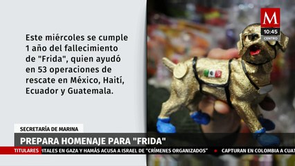 Semar realizará homenaje a perrita 'Frida'; invitan a asistir con mascotas