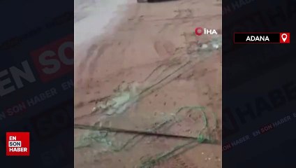 Kaçak ağa takılan deniz kaplumbağası kurtarıldı