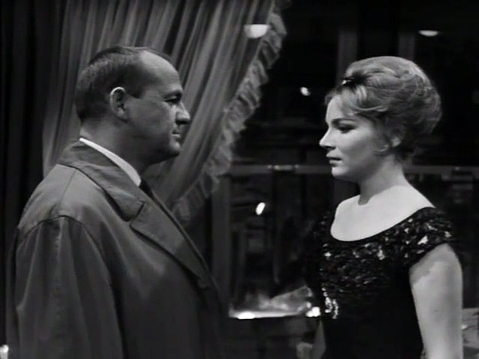 Tim Frazer - Der Fall Salinger