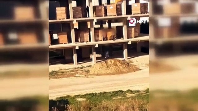 Çocukların tehlikeli oyunu: İnşaatın 2. katından kumun üzerine böyle atladılar