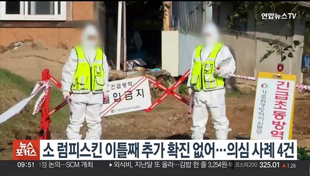 소 럼피스킨 이틀째 추가 확진 없어…의심 사례 4건