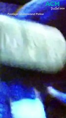 Police brave flames to rescue puppies during Dalveen bushfires