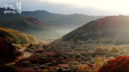 잠깐, 쉼 - 깊어져 가는 가을 / YTN