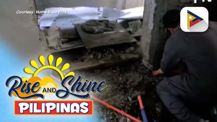 Paano nga ba masusugpo ang mga peste sa ating lugar?