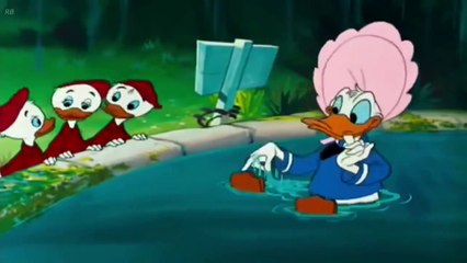 Donald Duck Don's Fountain Of Youth