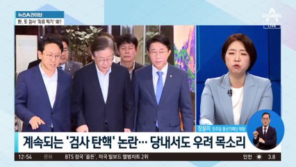 계속되는 ‘검사 탄핵’ 논란…당내서도 우려 목소리