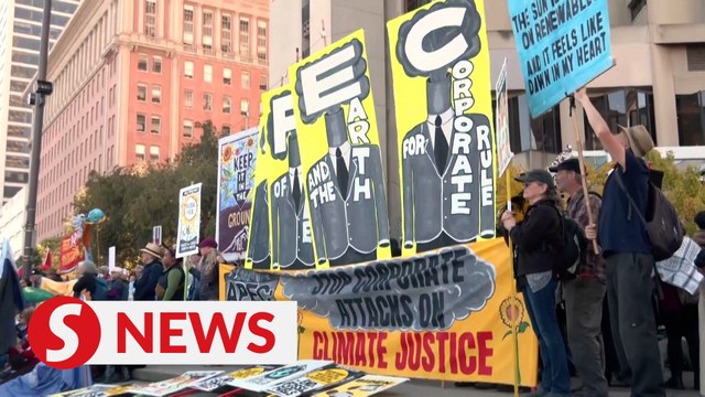 Apec San Francisco protesters span gamut of political issues, call for Gaza ceasefire