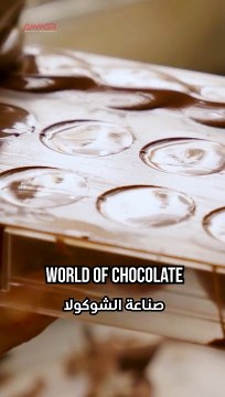 The Power of Automated Solutions in Reducing Manual Labor!