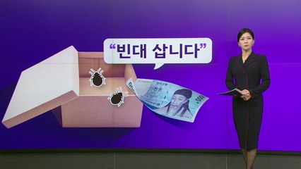 "빈대 10마리 3천 원에 삽니다"...대체 뭐 때문에? [앵커리포트] / YTN