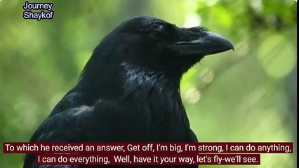 One Crow decided to fly with Geese flock going to the south