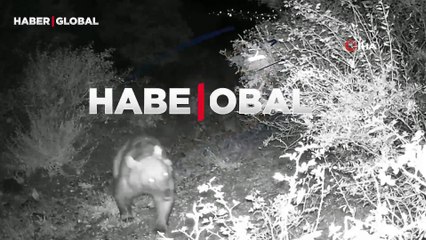 Yer Erzincan: Bir anda ailesi ile kadraja girdiği anlar şaşırttı!