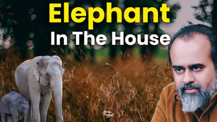 Elephant in the house || Acharya Prashant(2019)