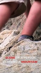 The Climb to Financial Freedom Staying Committed in Investing
