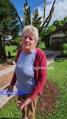 Perrito conmueve al visitar todos los días la tumba de su dueño